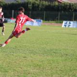 Immagine di Luigi Guarracino